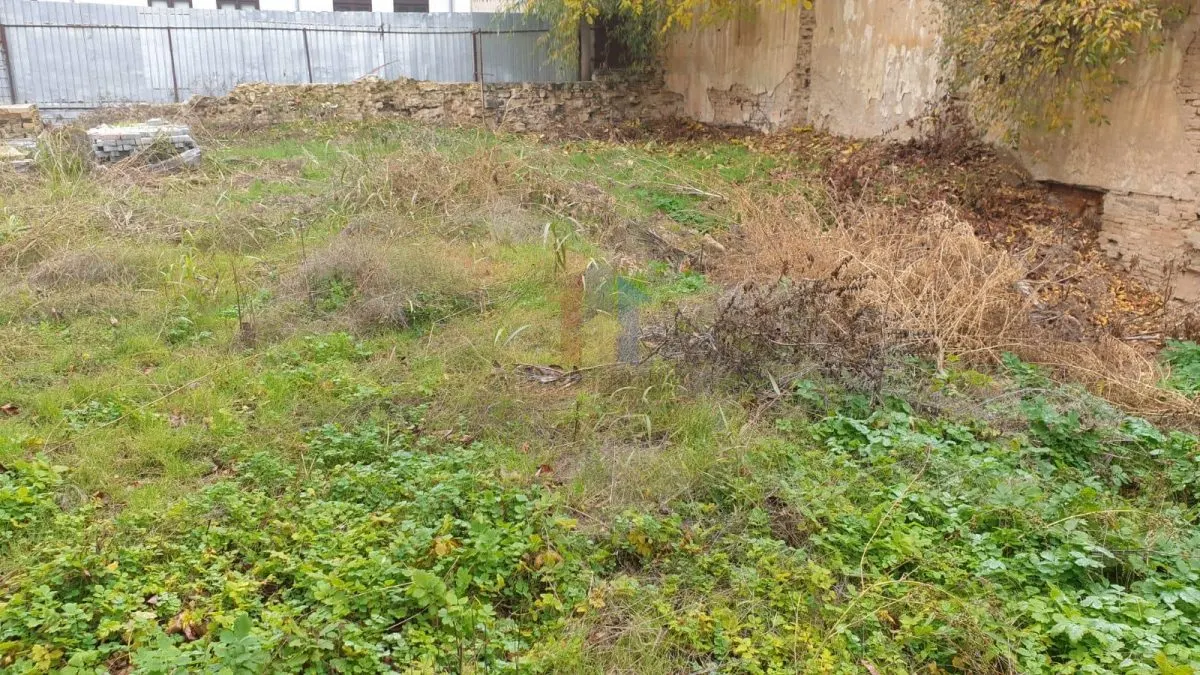 Ultracentral - Lic. Balcescu, P+1, 900mp construiti, teren 1109 mp pe colt, deschidere dubla 75ml - foto 18