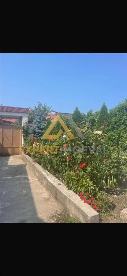Casa boiereasca Centrul Vechi Baia Mare cu spatiu comercial la parter inchiriat cu 600 euro/luna - foto 17