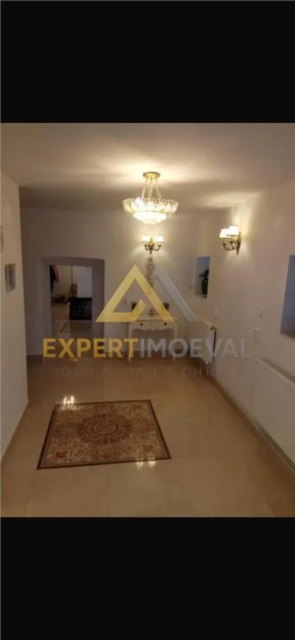 Casa boiereasca Centrul Vechi Baia Mare cu spatiu comercial la parter inchiriat cu 600 euro/luna - foto 8