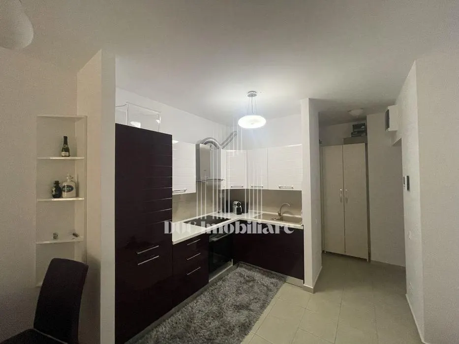 Inchiriere Apartament 2 Camere Piata Muncii - foto 5