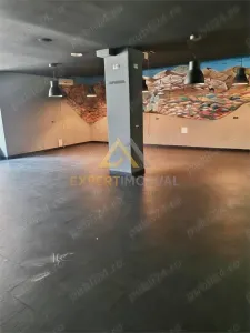 Spatiu comercial de vanzare Baia Mare b-dul Victoriei, zona Bucla - foto 4
