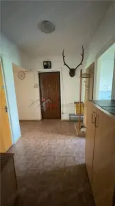 Apartament 4 camere Titulescu - foto 10