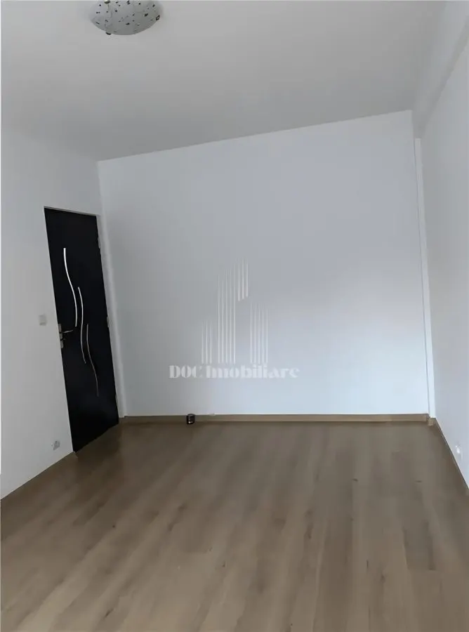 Inchiriere Apartament 2 Camere Ozana Nemobilat - foto 3