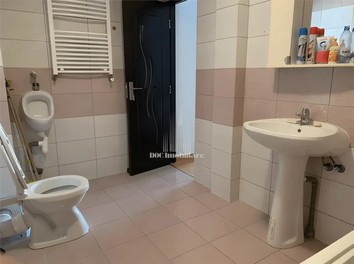 Inchiriere Apartament 2 Camere Ozana Nemobilat - foto 8