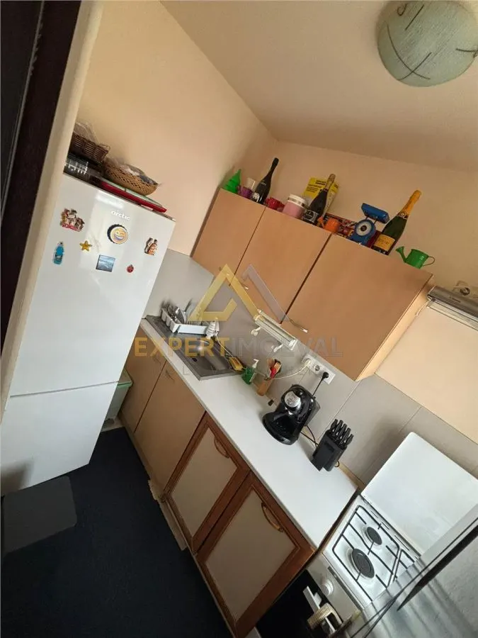 GARSONIERA/DUPLEX Vlad Tepes nr 88 Baia Mare - foto 3