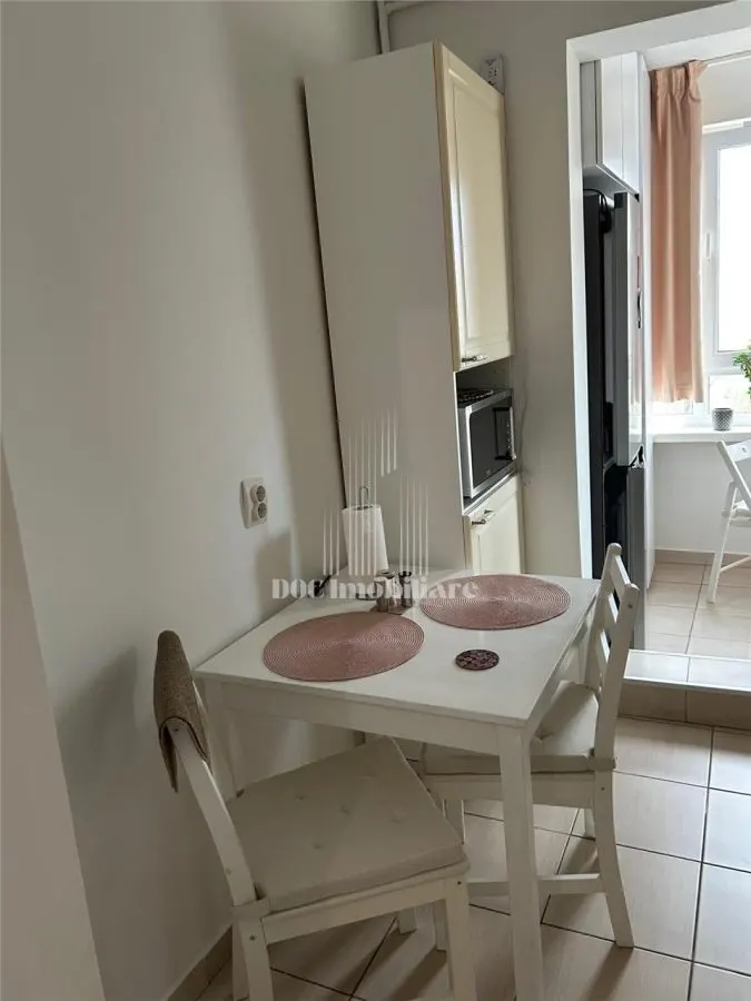 Inchiriere Apartament 2 Camere Nicolae Grigorescu - foto 14