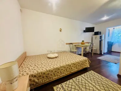 Garsoniera de vanzare Regele Ferdinand - foto 4