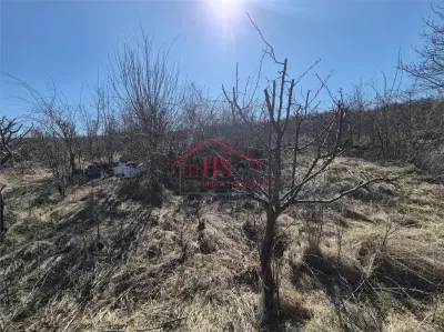 Teren intravilan, zona superba. Colonia Sopor, Cluj Napoca - foto 3