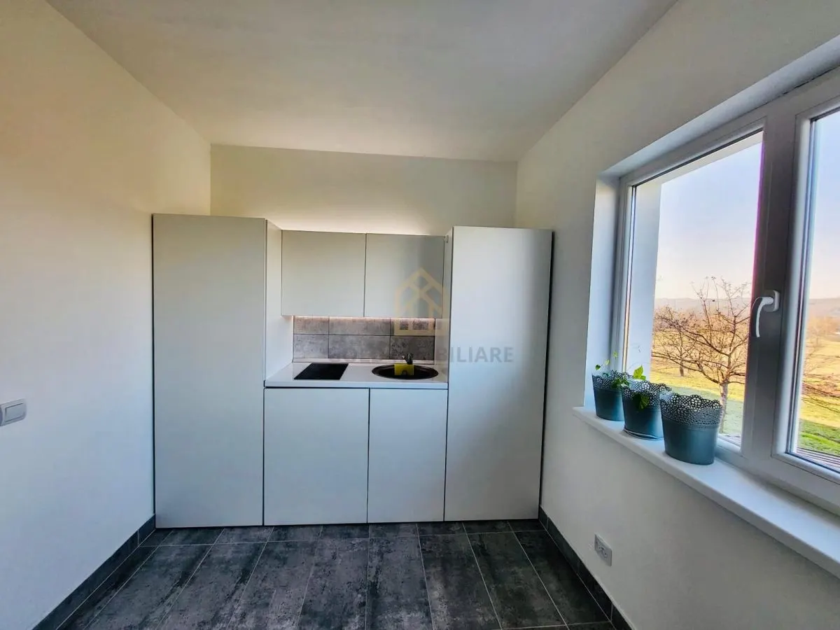 Casă modernă de vânzare în Dumbrăvița - foto 4