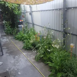 Casa 5 camere, suprafata teren 200 mp, zona Piata Saraca - foto 11