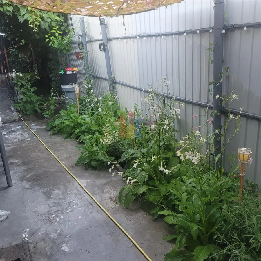 Casa 5 camere, suprafata teren 200 mp, zona Piata Saraca - foto 11