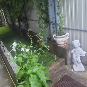 Casa 5 camere, suprafata teren 200 mp, zona Piata Saraca - foto 9