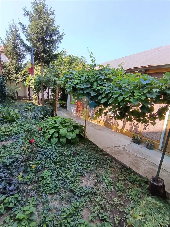 Casa intre Scolilor si Calarasi,  Teren cu 237mp - foto 6