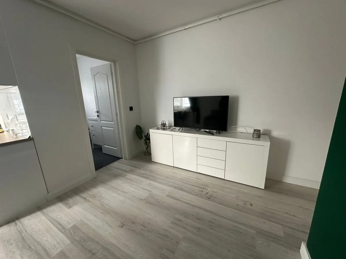 APARTAMENT DE VANZARE | 53 MPU | ZONA MOSILOR - foto 3
