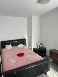 Inchiriere Apartament 2 Camere Tineretului - foto 5