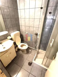 Casa 5 camere, 2 corpuri de cladire,  teren 176 mp, Bld Dorobantilor - foto 16