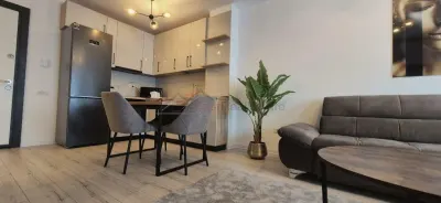 Apartament 2 camere LUX, zona Parcul Plumbuita - foto 4