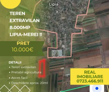 Teren 8.000mp extravilan Lipia - Merei ! - Lipia