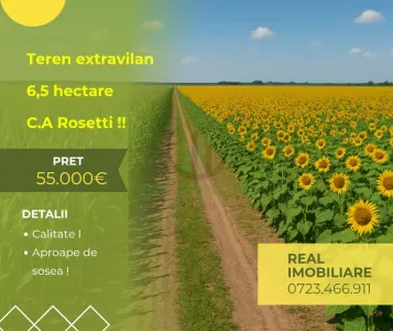 Teren extravilan arabil - 6,5hectare C.A. Rosetti ! - C.A. Rosetti