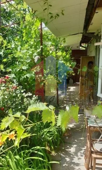 zona Liceu Balcescu Casa caramida+boltari cu teren=158 mp, Deschidere 8,8m - foto 1