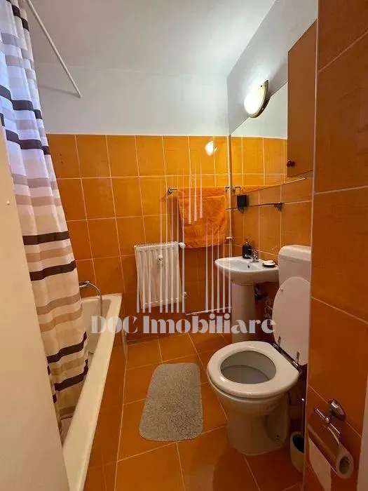 Inchiriere Apartament 2 Camere Piata Muncii - foto 3