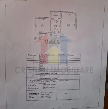 2 camere Confort 1, Mobilat si Utilat, Radu Negru - foto 12