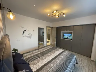 Inchiriere Apartament 2 camere Bd Unirii/Burebista - foto 13