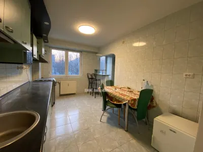 Inchiriere apartament 3 camere Drumul Taberei | Raul Doamnei - foto 6