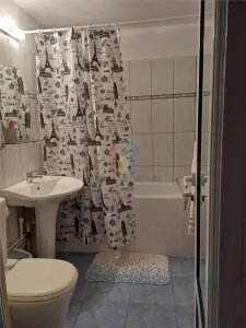 2 camere Confort 1 Decomandat, etaj 3, Renovat, Radu Negru - foto 11