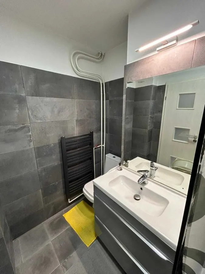 Inchiriere Apartament 2 Camere | Crangasi | - foto 3