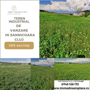 Teren de vanzare in Sanicoara in zona cu destinatie industriala - Sannicoara