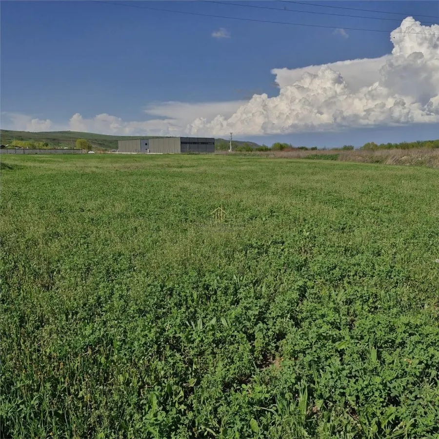 Teren de vanzare in Sanicoara in zona cu destinatie industriala - foto 3