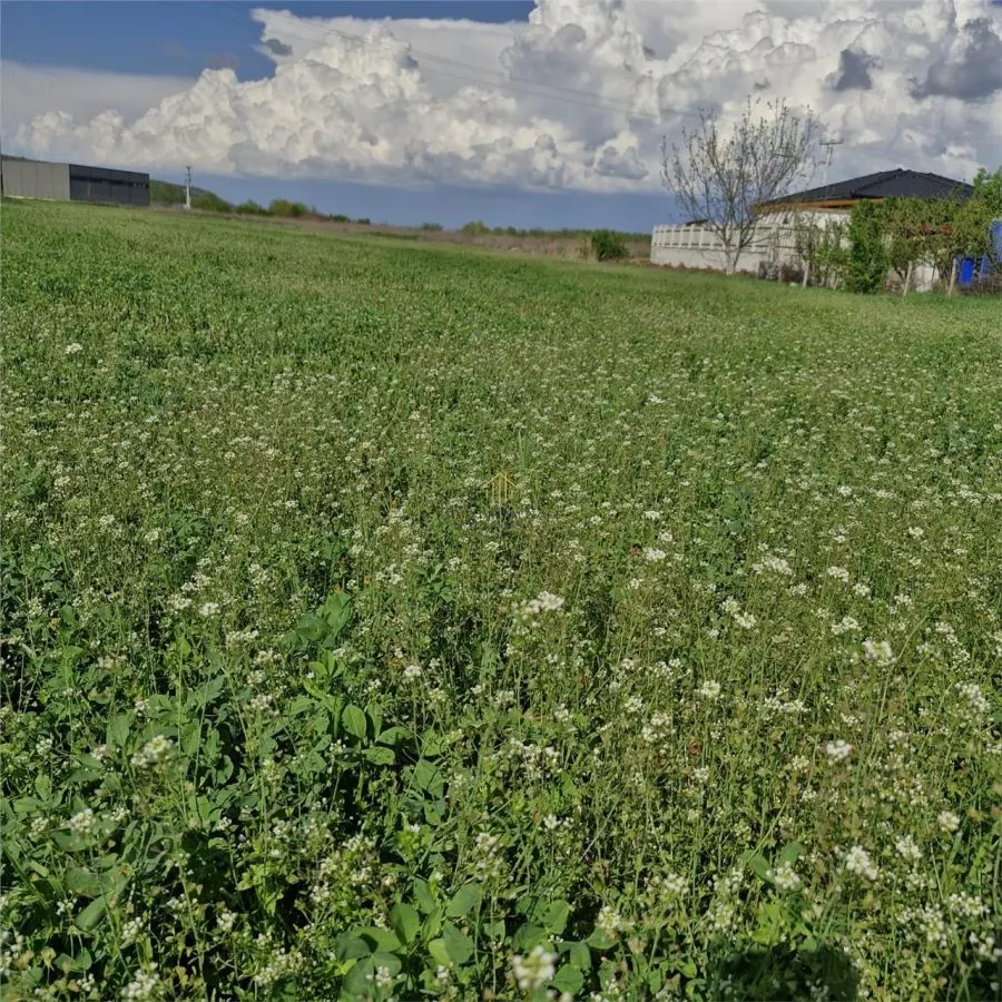 Teren de vanzare in Sanicoara in zona cu destinatie industriala - foto 4