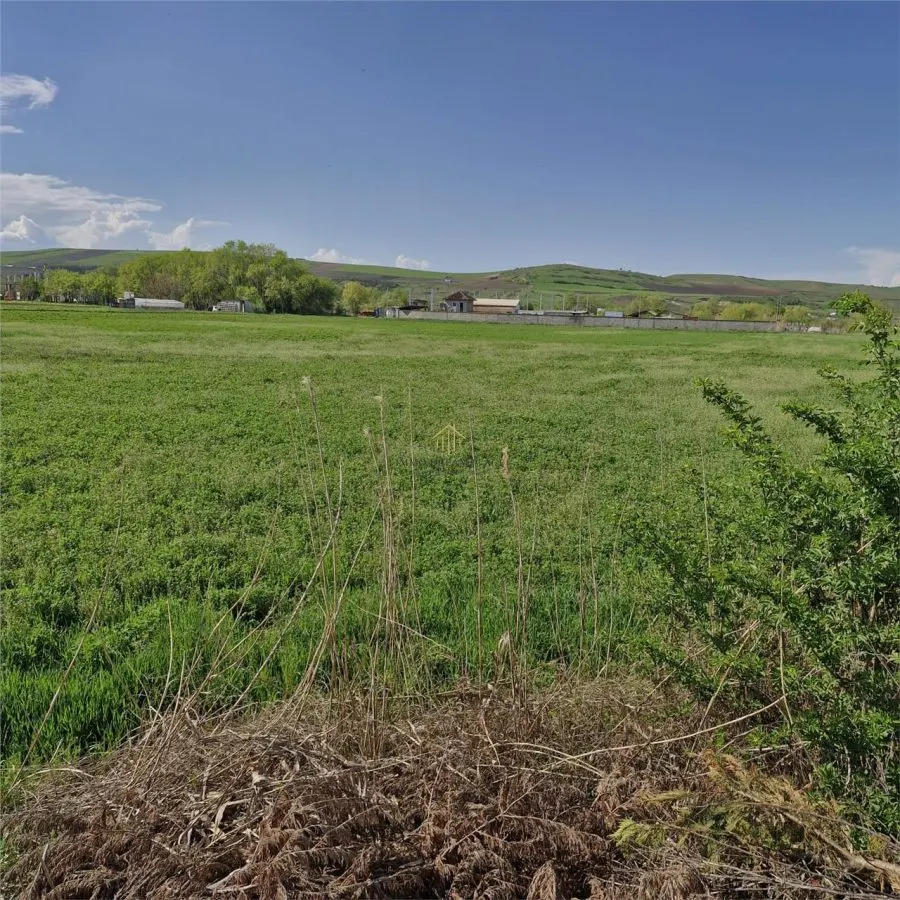 Teren de vanzare in Sanicoara in zona cu destinatie industriala - foto 5