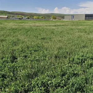 Teren de vanzare in Sanicoara in zona cu destinatie industriala - foto 6