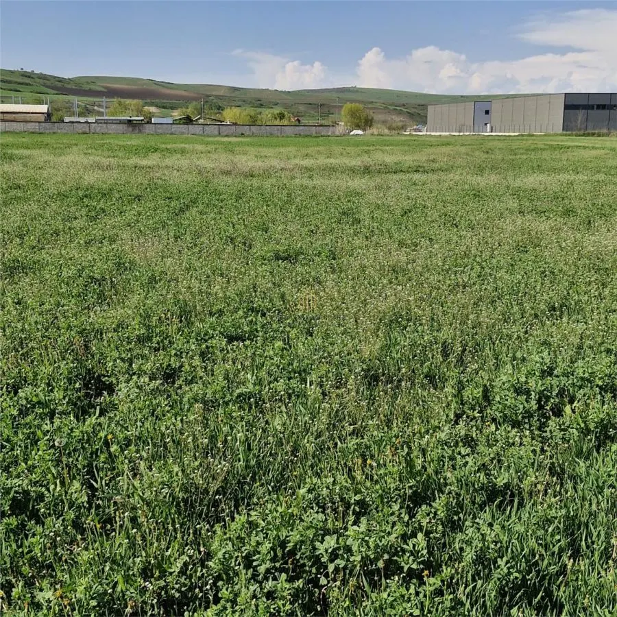 Teren de vanzare in Sanicoara in zona cu destinatie industriala - foto 6