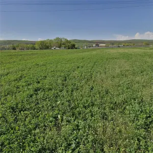 Teren de vanzare in Sanicoara - destinatie industriala - foto 2
