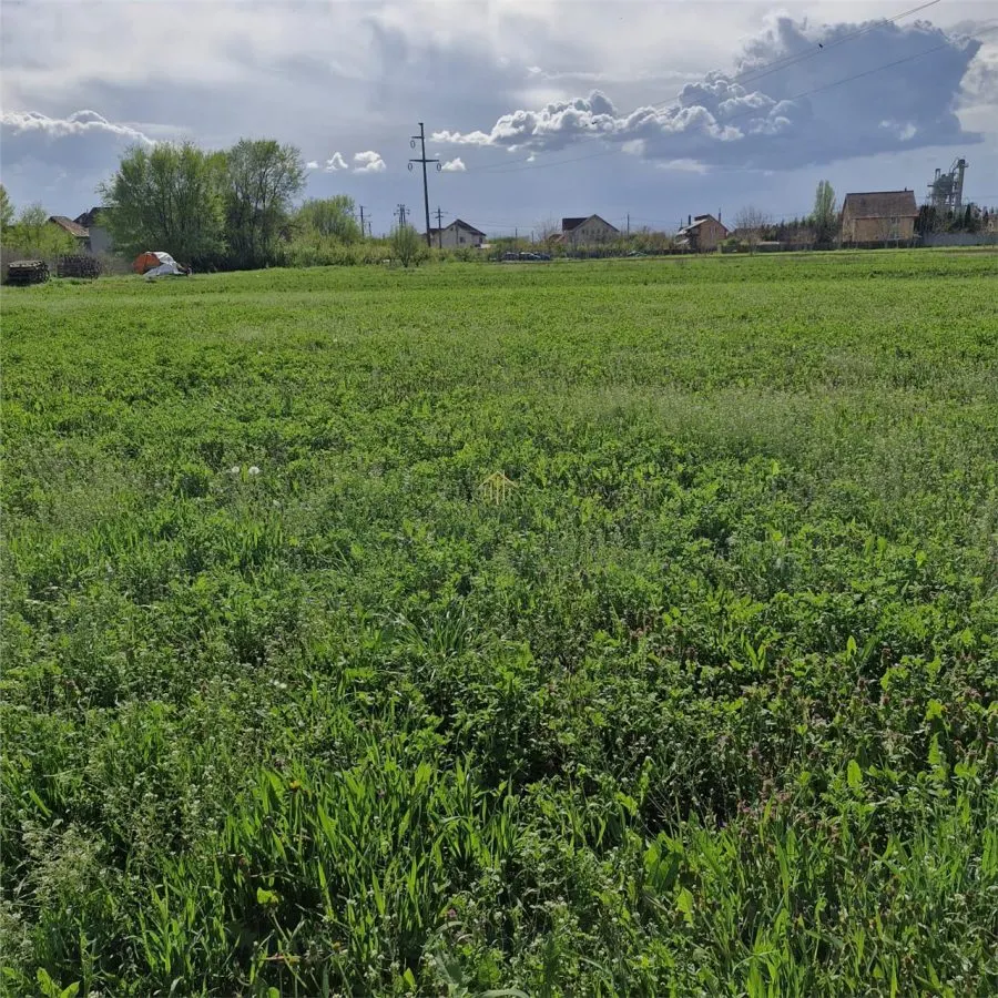 Teren de vanzare in Sanicoara - destinatie industriala - foto 6