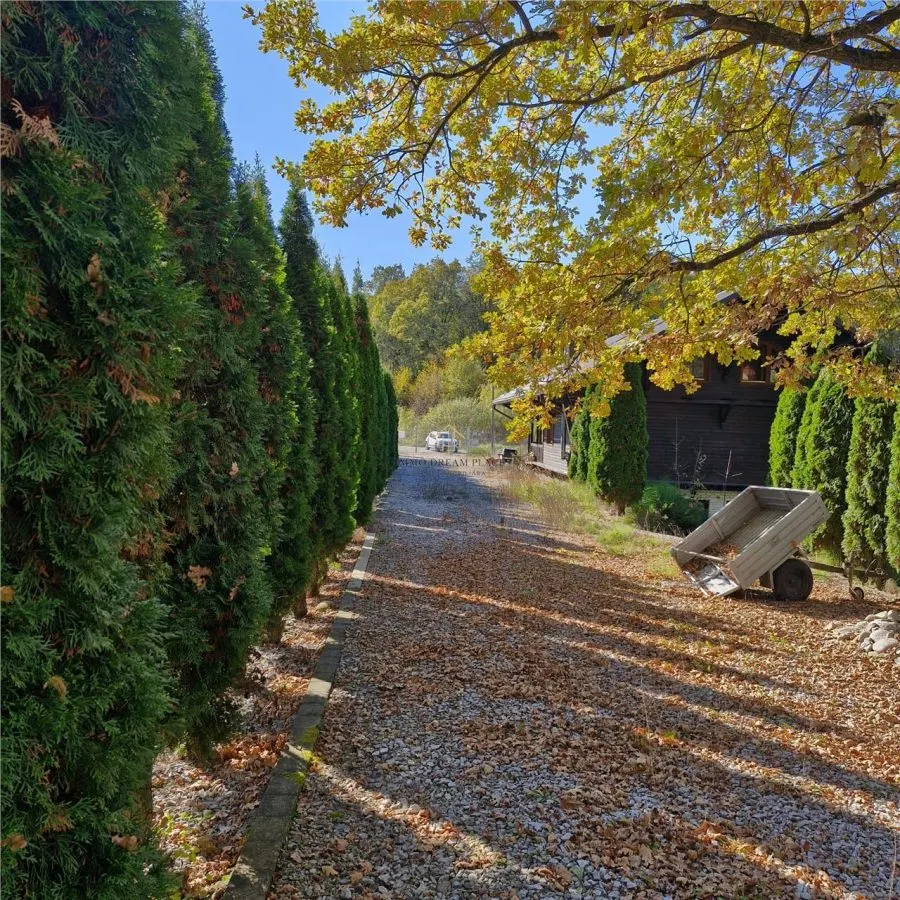 Proprietate intr-o zona verde si linistita - Faget - foto 6