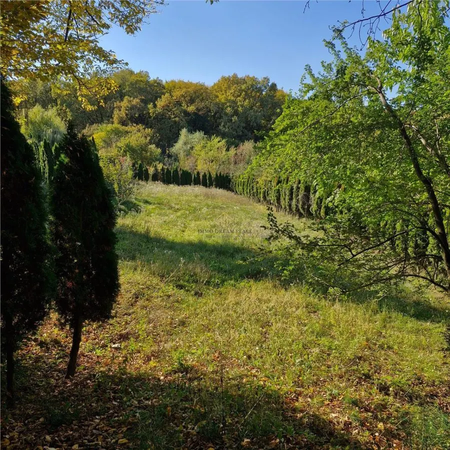 Proprietate intr-o zona verde si linistita - Faget - foto 7