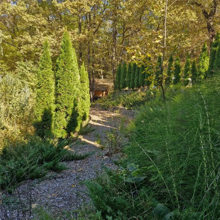 Proprietate intr-o zona verde si linistita - Faget - foto 10