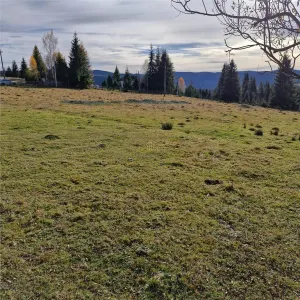 Teren de vanzare in Belis - foto 2