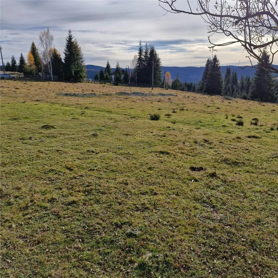 Teren de vanzare in Belis - foto 2