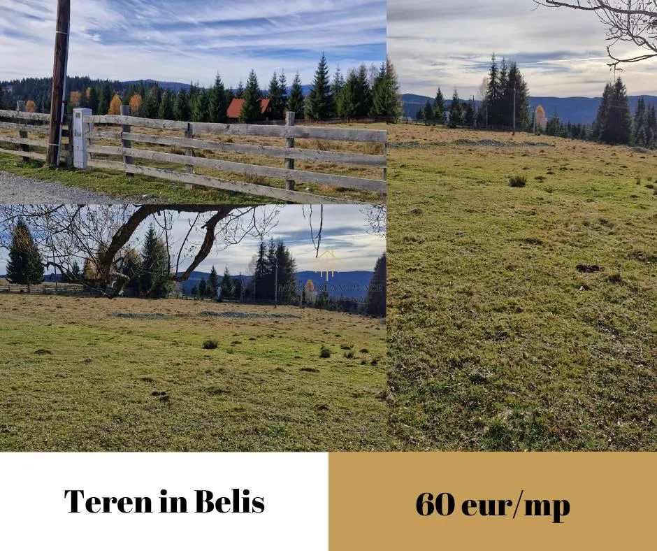 Teren de vanzare in Belis - foto 8
