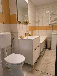 Inchiriere Garsoniera Mall Vitan | Dristor - foto 6