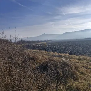 Teren de balastiera de vanzare - foto 2