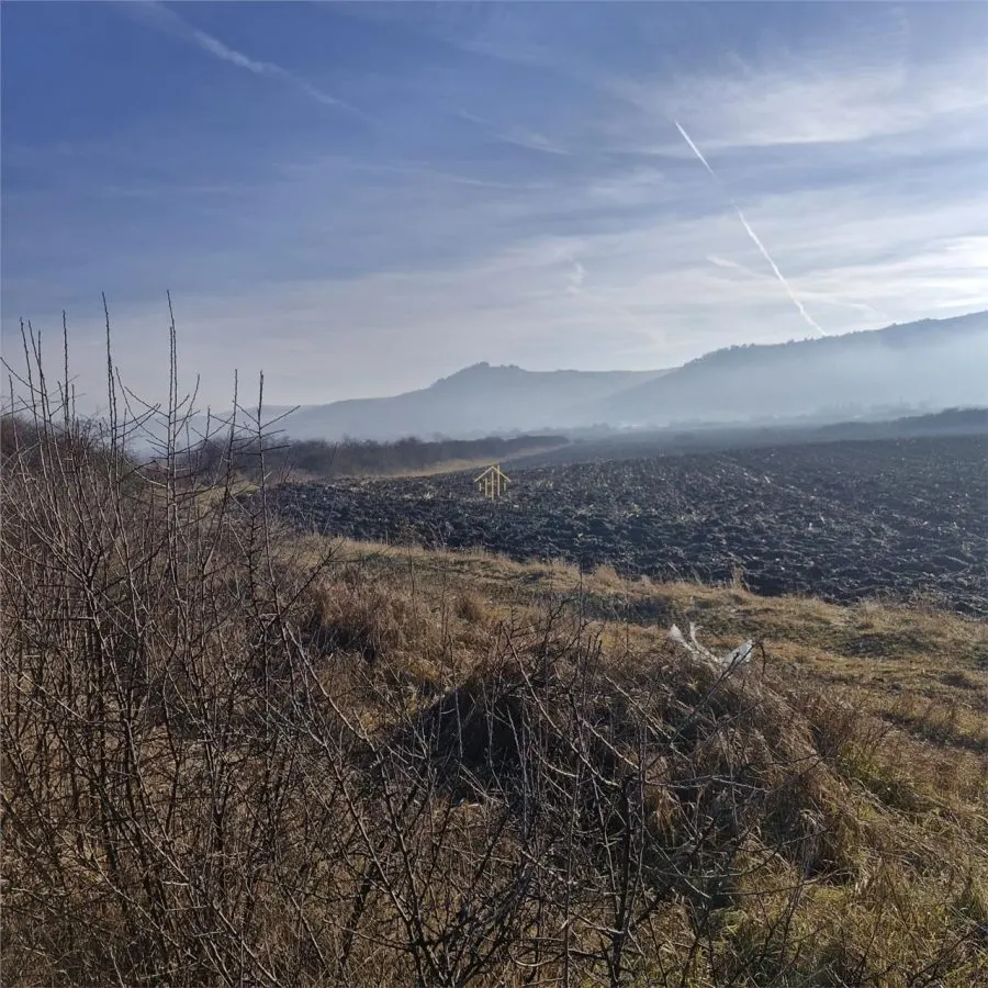 Teren de balastiera de vanzare - foto 2