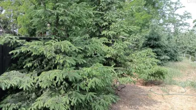 Vila P+M, teren 1222 mp, TOTUL NOU, la 18 Km de Braila - foto 12