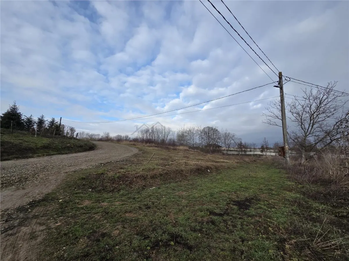 Teren intravilan,dublu front,Paleu,Oradea,Bihor - foto 1