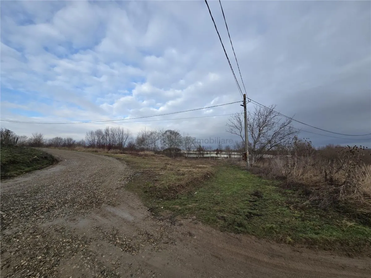 Teren intravilan,dublu front,Paleu,Oradea,Bihor - foto 2